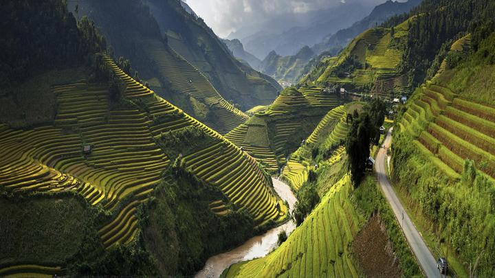 Mùa hè đang trở nên sôi động hơn với sự xuất hiện của chuỗi sự kiện