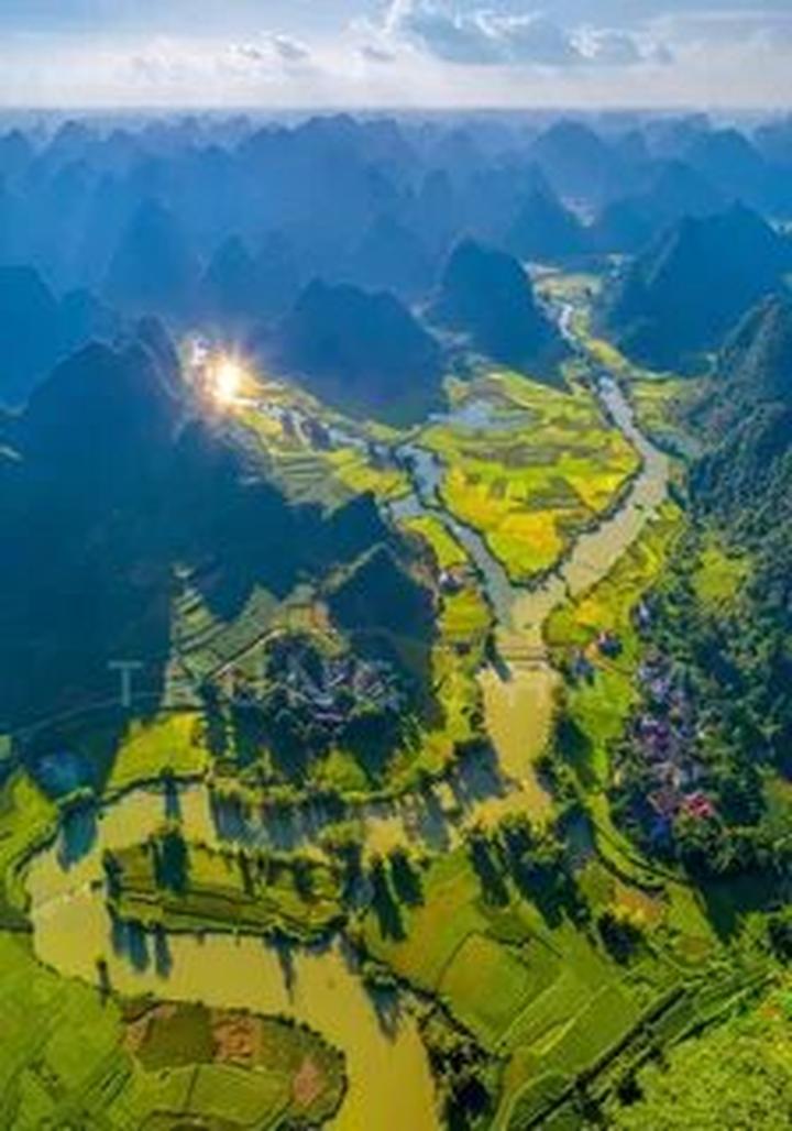 Xu hướng