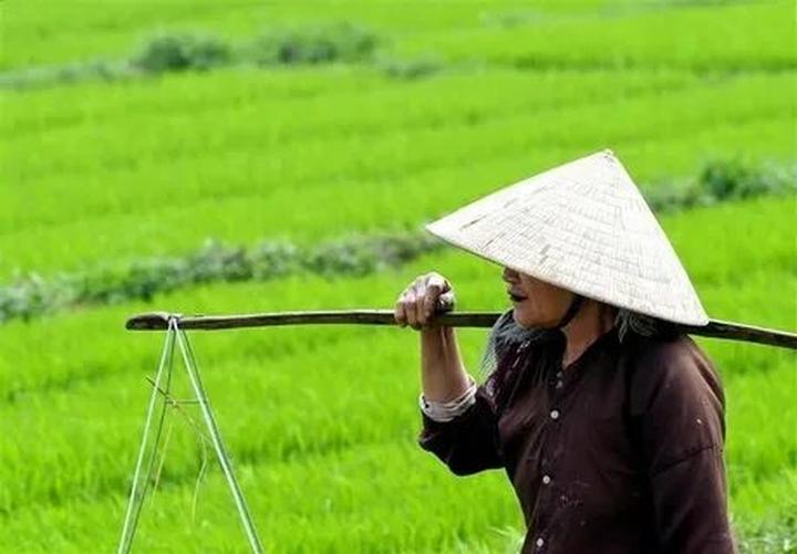 Chuyên gia Hotspot Matrix phân tích: Phương Oanh diện set đồ 50 và marketing video